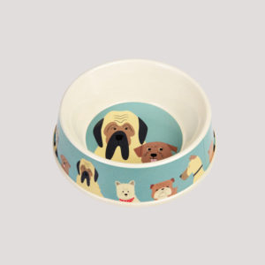 Pet Bowl for dog and cat