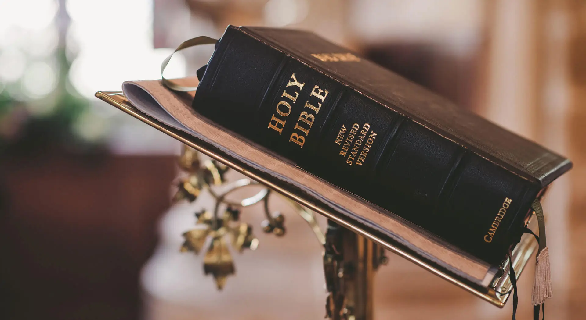 Saving humanity with the help of Jesus